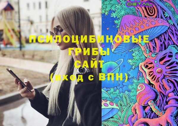 меф Арсеньев